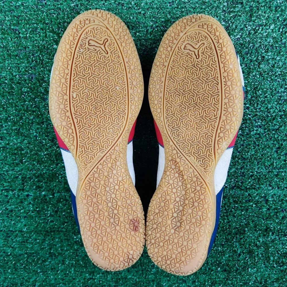 Puma invicto sala